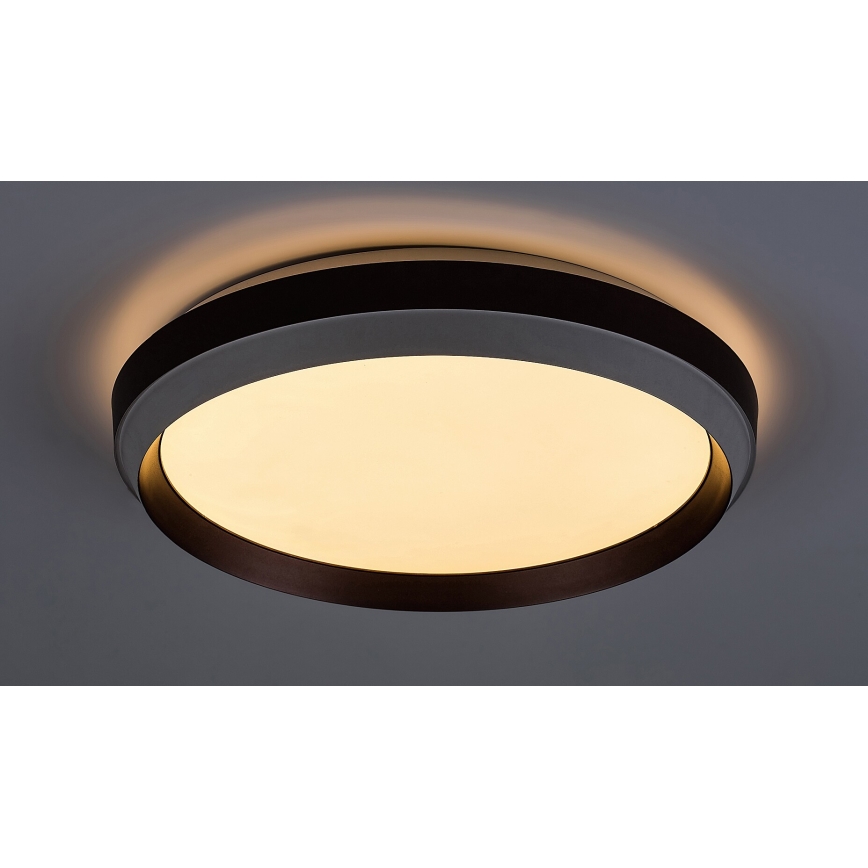 Rabalux - LED Stropné svietidlo LED/24W/230V 3000K