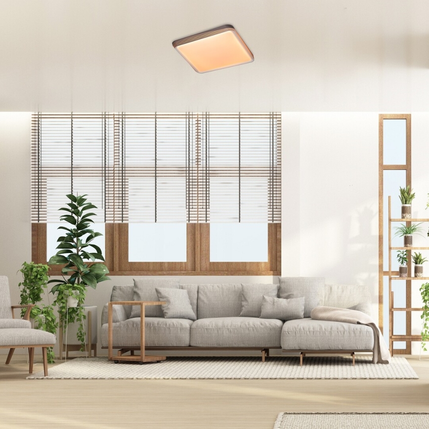 Rabalux - LED Stropné svietidlo LED/40W/230V 3000K