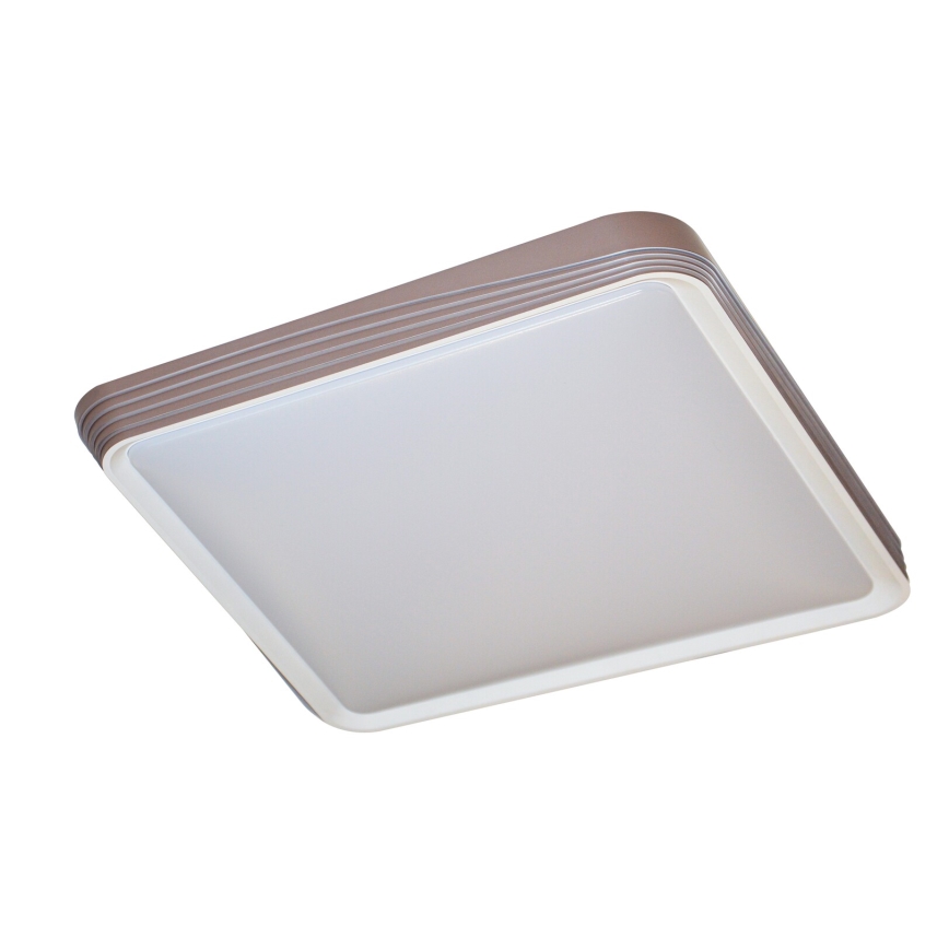 Rabalux - LED Stropné svietidlo LED/40W/230V 3000K