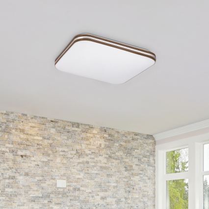 Rabalux - LED Stropné svietidlo LED/18W/230V 4000K 33x33 cm