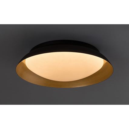 Rabalux - LED Stropné svietidlo LED/20W/230V 3000K pr. 30 cm