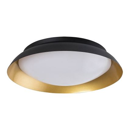 Rabalux - LED Stropné svietidlo LED/20W/230V 3000K pr. 30 cm