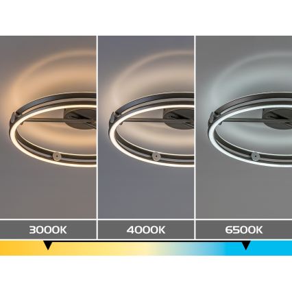 Rabalux - LED Stmievateľné stropné svietidlo LED/60W/230V 3000-6500K pr. 50 cm šedá + diaľkové ovládanie