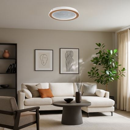 Rabalux - LED stmievateľné stropné svietidlo LED/24W/230V 3000-6500K pr. 40 cm + diaľkové ovládanie