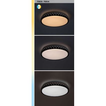Rabalux - LED Stmievateľné stropné svietidlo LED/48W/230V 3000-6500K + diaľkové ovládanie