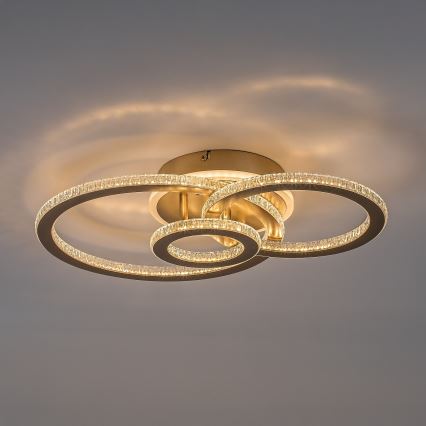 Rabalux - LED stmievateľné stropné svietidlo LED/40W/230V 3000-6500K + diaľkové ovládanie