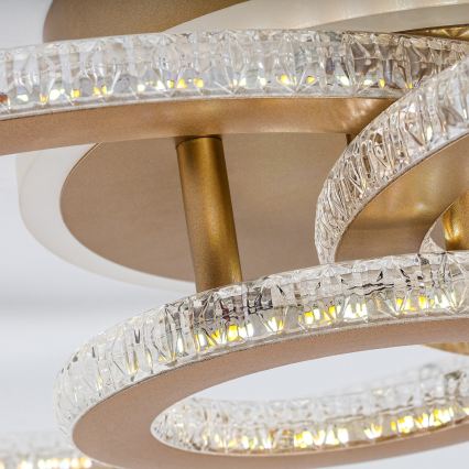 Rabalux - LED stmievateľné stropné svietidlo LED/40W/230V 3000-6500K + diaľkové ovládanie