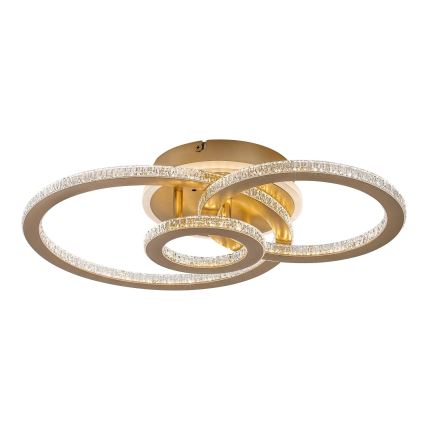 Rabalux - LED stmievateľné stropné svietidlo LED/40W/230V 3000-6500K + diaľkové ovládanie