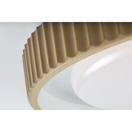 Rabalux - LED Stmievateľné stropné svietidlo LED/48W/230V 3000-6500K pr. 49,5 cm + diaľkové ovládanie