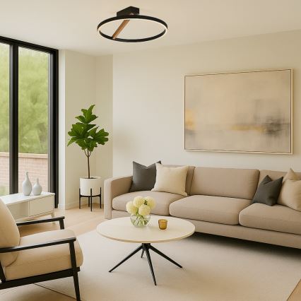 Rabalux - LED stropné svietidlo LED/24W/230V 3000K pr. 45 cm