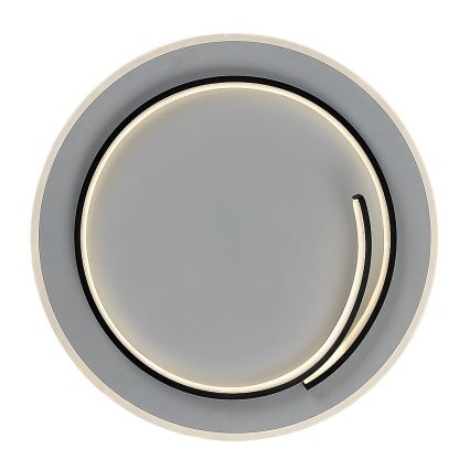 Rabalux - LED Stropné svietidlo LED/40W/230V 4000K