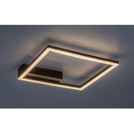 Rabalux - LED Stropné svietidlo LED/24W/230V 3000K