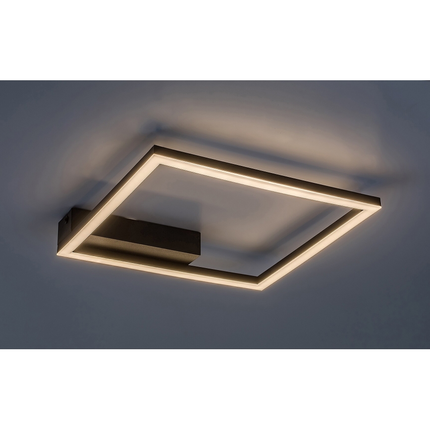 Rabalux - LED Stropné svietidlo LED/24W/230V 3000K