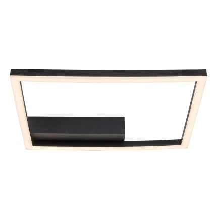 Rabalux - LED Stropné svietidlo LED/24W/230V 3000K