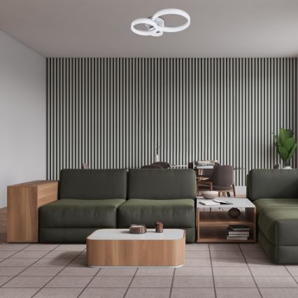 Rabalux - LED stropné svietidlo LED/24W/230V 3000/4000/6500K 38x51 cm matný chróm