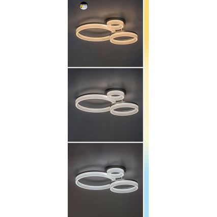 Rabalux - LED stropné svietidlo LED/24W/230V 3000/4000/6500K 38x51 cm matný chróm