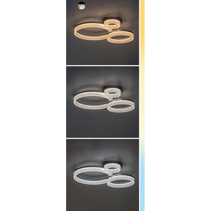 Rabalux - LED stropné svietidlo LED/24W/230V 3000/4000/6500K 38x51 cm matný chróm