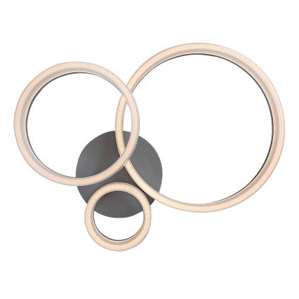 Rabalux - LED stropné svietidlo LED/24W/230V 3000/4000/6500K 38x51 cm matný chróm