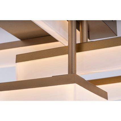 Rabalux - LED Stropné svietidlo LED/22W/230V 3000/4000/6500K zlatá