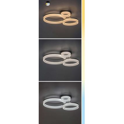 Rabalux - LED Stropné svietidlo LED/24W/230V 3000/4000/6500K čierna