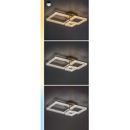 Rabalux - LED Stropné svietidlo LED/22W/230V 3000/4000/6500K matný chróm