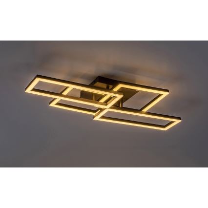 Rabalux - LED stmievateľné stropné svietidlo LED/40W/230V 3000-6500K 35x70 cm + diaľkové ovládanie