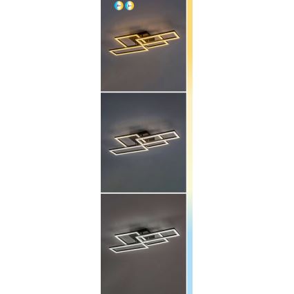 Rabalux - LED stmievateľné stropné svietidlo LED/40W/230V 3000-6500K 35x70 cm + diaľkové ovládanie