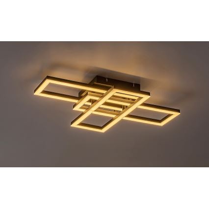 Rabalux - LED Stmievateľné stropné svietidlo LED/40W/230V 3000-6500K + diaľkové ovládanie 35x50 cm
