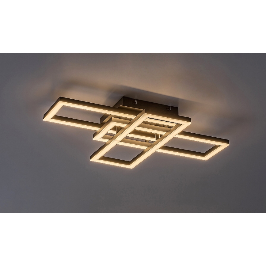 Rabalux - LED Stmievateľné stropné svietidlo LED/40W/230V 3000-6500K + diaľkové ovládanie 35x50 cm