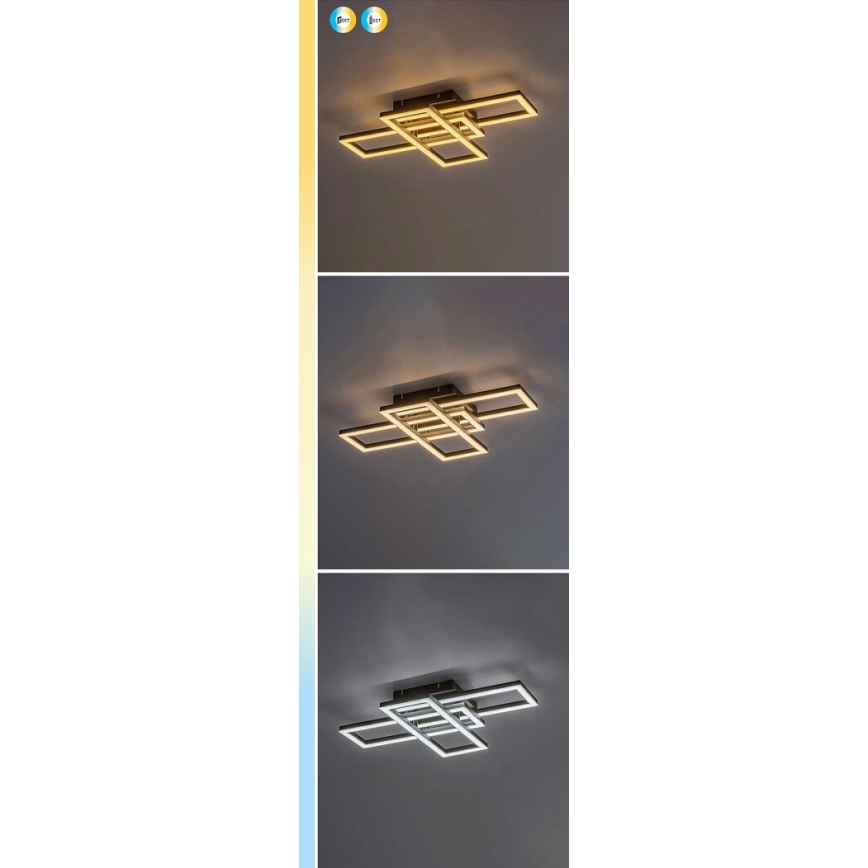 Rabalux - LED Stmievateľné stropné svietidlo LED/40W/230V 3000-6500K + diaľkové ovládanie 35x50 cm