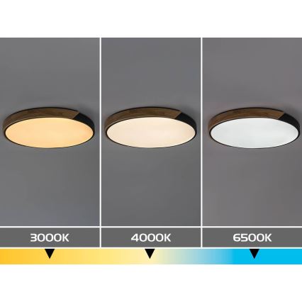 Rabalux - LED stropné svietidlo LED/42W/230V 3000/4000/6500K čierna/dub priemer 41 cm
