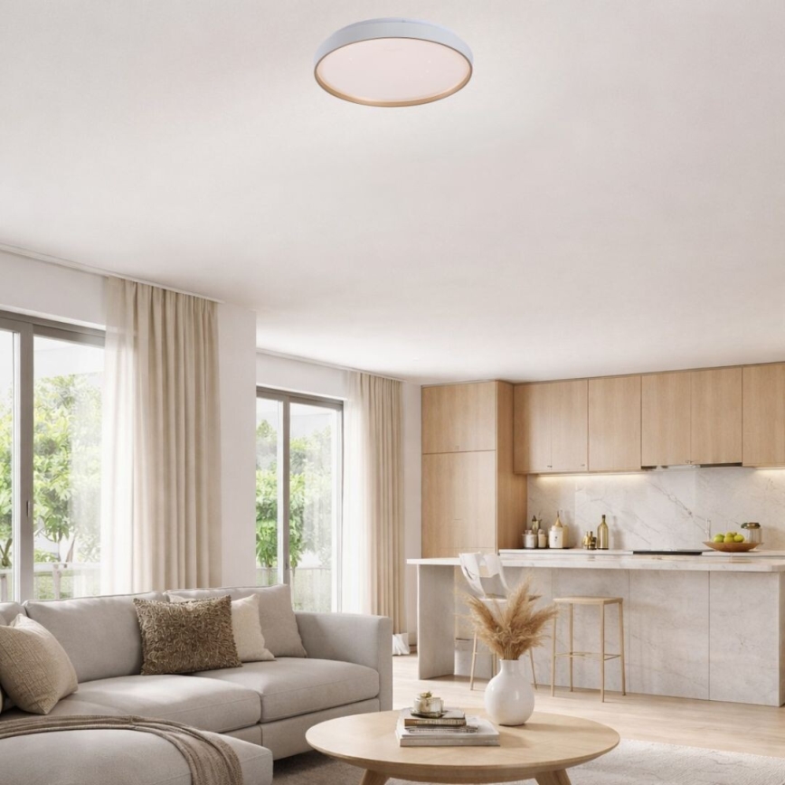 Rabalux - stlmiteľné LED stropné svietidlo LED/34W/230V 3000-6500K pr. 38 cm + diaľkové ovládanie