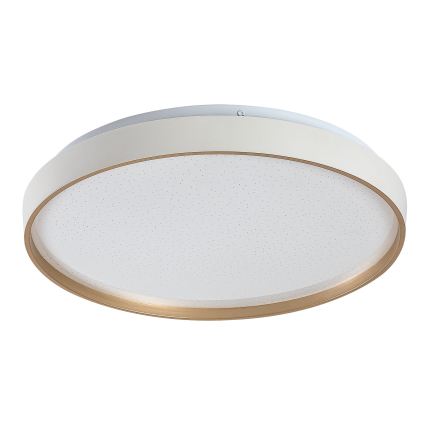 Rabalux - stlmiteľné LED stropné svietidlo LED/34W/230V 3000-6500K pr. 38 cm + diaľkové ovládanie