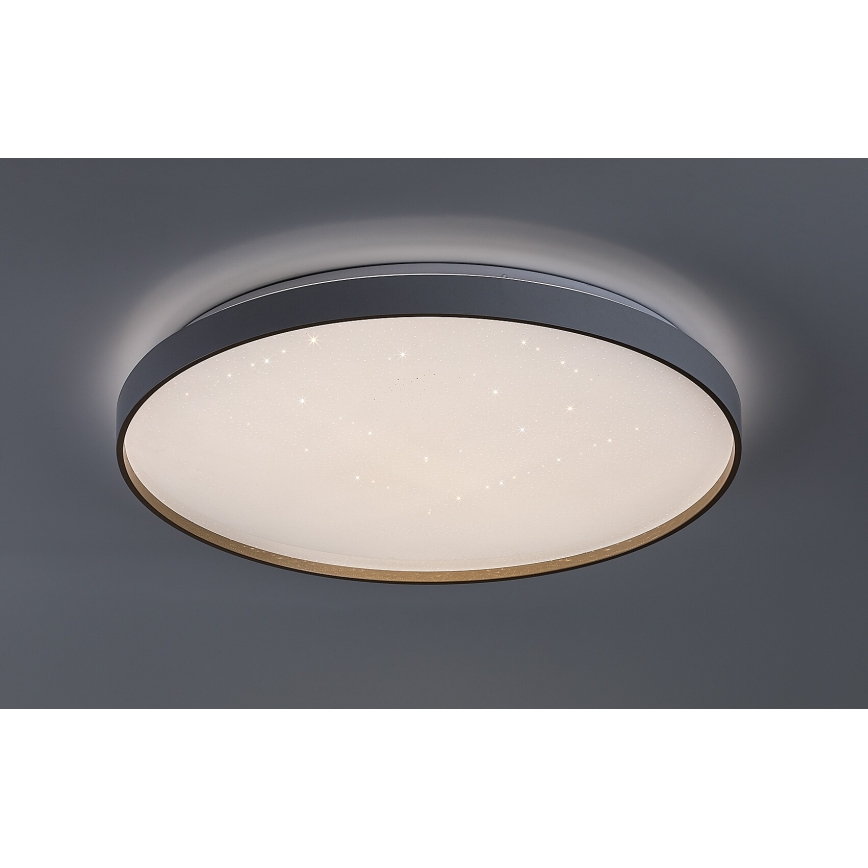 Rabalux - LED stmievateľné stropné svietidlo LED/60W/230V 3000-6500K priem. 58 cm + diaľkové ovládanie
