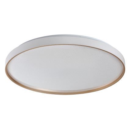 Rabalux - LED stmievateľné stropné svietidlo LED/60W/230V 3000-6500K priem. 58 cm + diaľkové ovládanie