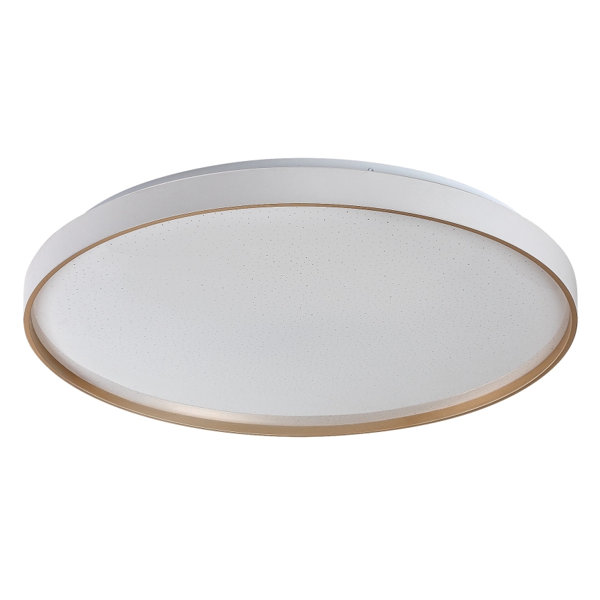 Rabalux - LED stmievateľné stropné svietidlo LED/80W/230V 3000-6500K pr. 77 cm + diaľkové ovládanie