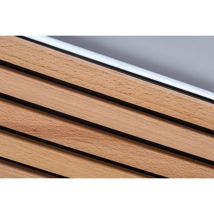 Rabalux - LED stropné svietidlo LED/26W/230V 3000/4500/6000K