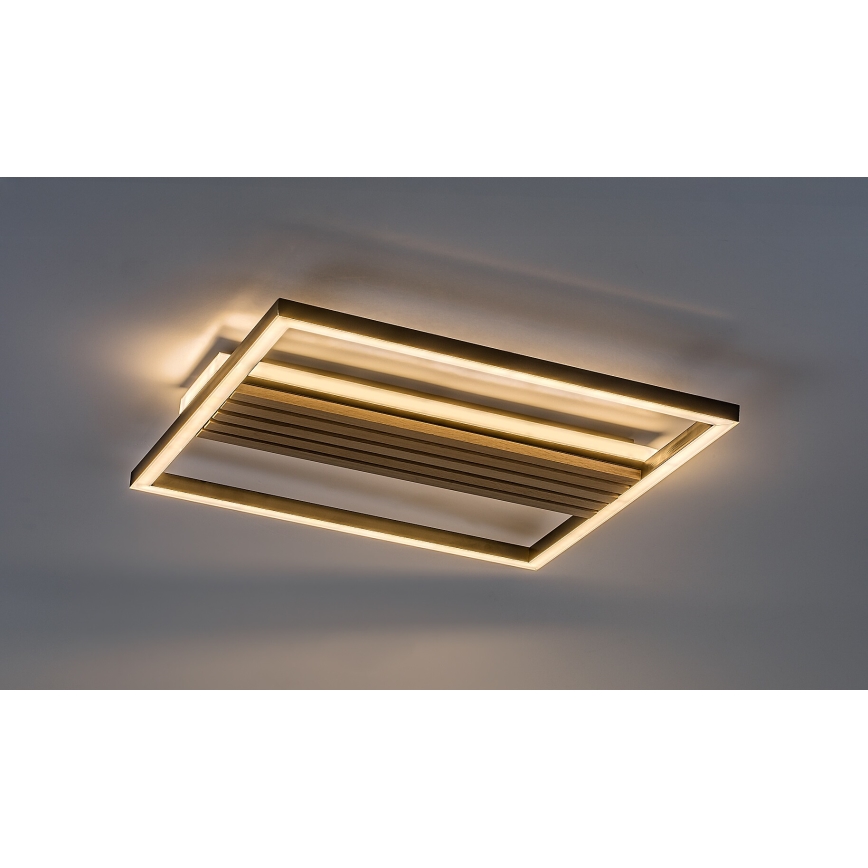 Rabalux - LED stropné svietidlo LED/30W/230V 3000/4500/6000K