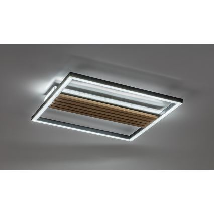Rabalux - LED stropné svietidlo LED/30W/230V 3000/4500/6000K