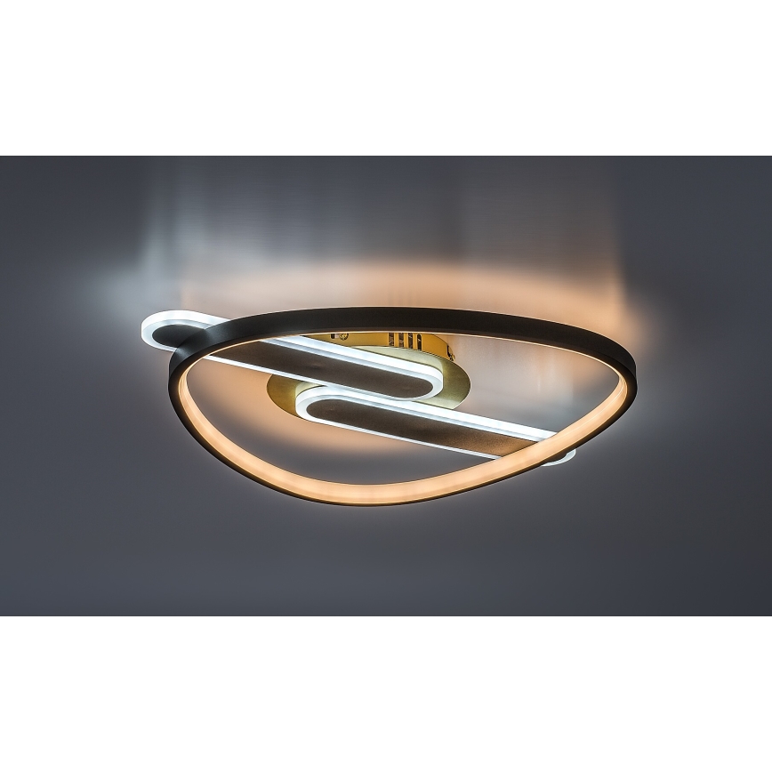 Rabalux - LED stmievateľné stropné svietidlo LED/60W/230V 3000-6000K 53x45 cm + diaľkové ovládanie