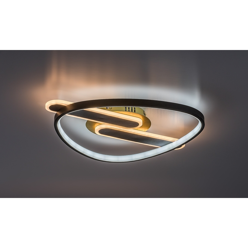 Rabalux - LED stmievateľné stropné svietidlo LED/60W/230V 3000-6000K 53x45 cm + diaľkové ovládanie