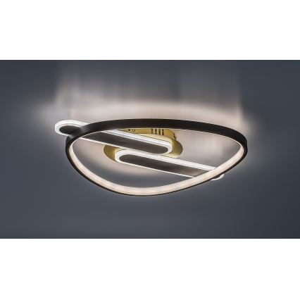 Rabalux - LED stmievateľné stropné svietidlo LED/60W/230V 3000-6000K 53x45 cm + diaľkové ovládanie
