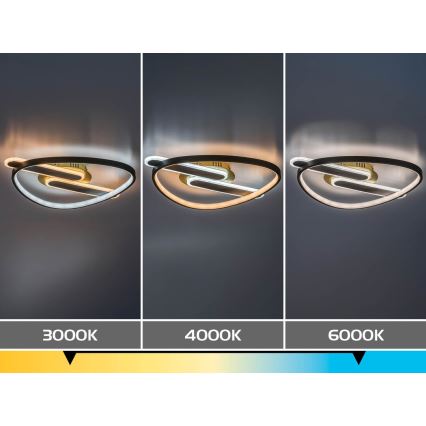 Rabalux - LED stmievateľné stropné svietidlo LED/60W/230V 3000-6000K 53x45 cm + diaľkové ovládanie