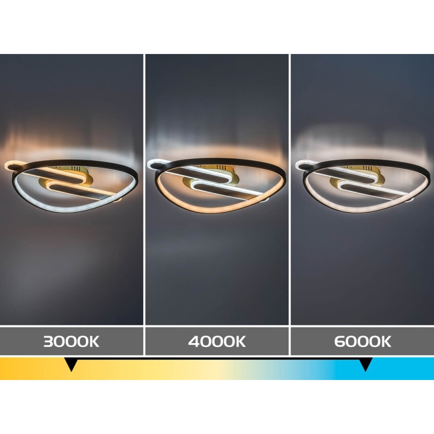 Rabalux - LED stmievateľné stropné svietidlo LED/60W/230V 3000-6000K 53x45 cm + diaľkové ovládanie