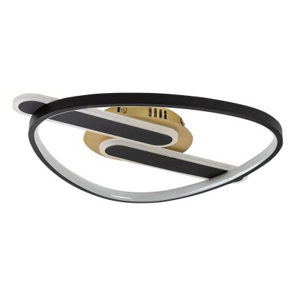 Rabalux - LED stmievateľné stropné svietidlo LED/60W/230V 3000-6000K 53x45 cm + diaľkové ovládanie