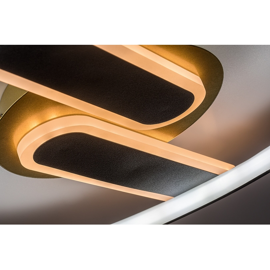 Rabalux - LED stmievateľné stropné svietidlo LED/60W/230V 3000-6000K 53x45 cm + diaľkové ovládanie