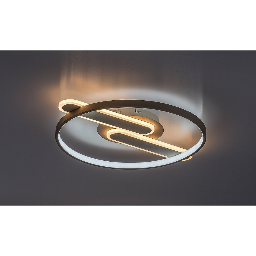 Rabalux - LED stmievateľné stropné svietidlo LED/55W/230V 3000-6000K 53x45 cm + diaľkové ovládanie