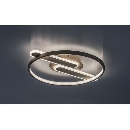 Rabalux - LED stmievateľné stropné svietidlo LED/55W/230V 3000-6000K 53x45 cm + diaľkové ovládanie
