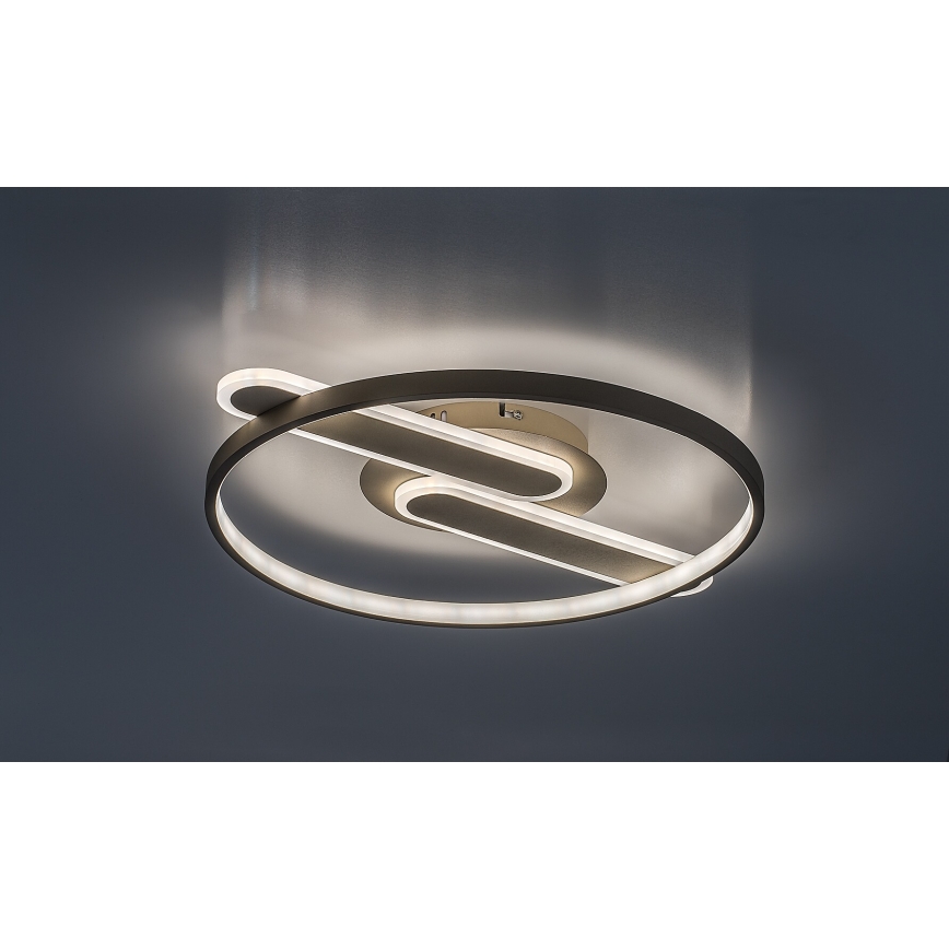Rabalux - LED stmievateľné stropné svietidlo LED/55W/230V 3000-6000K 53x45 cm + diaľkové ovládanie