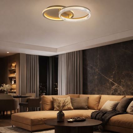 Rabalux - LED stmievateľné stropné svietidlo LED/22W/230V 3000-6500K 53,5x35 cm + diaľkové ovládanie